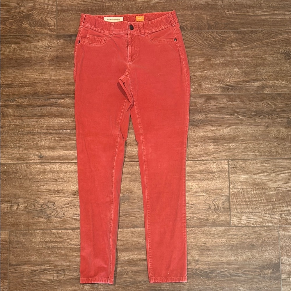 Pilcro and the Letterpress burnt orange corduroy skinny pants